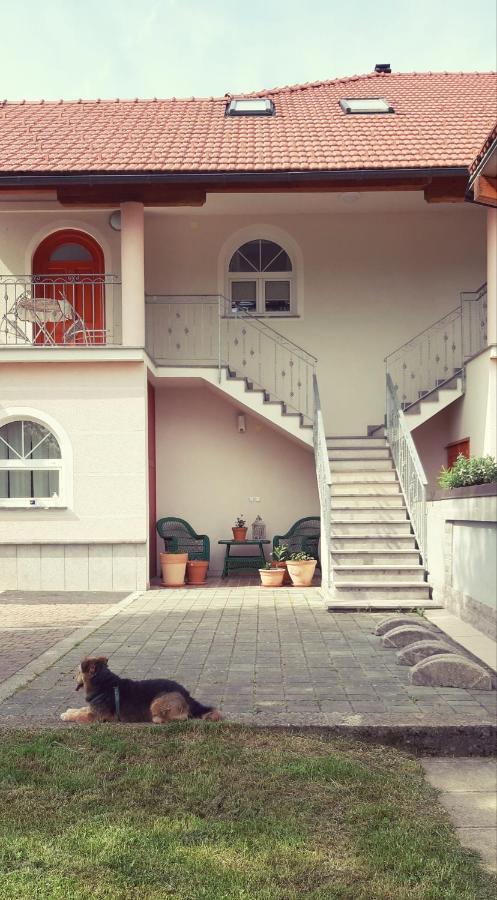 Prenocisca Angelin Hram, Tiny Apartments Markovec Dış mekan fotoğraf