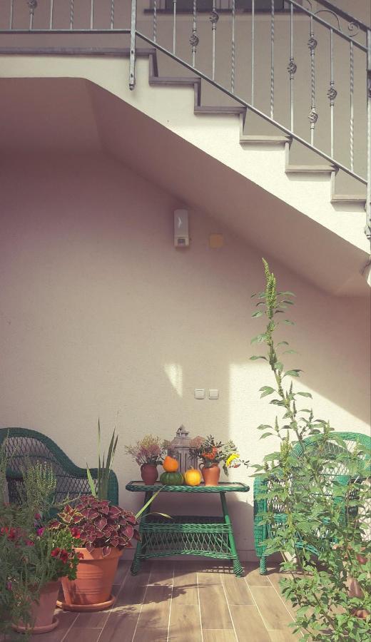 Prenocisca Angelin Hram, Tiny Apartments Markovec Dış mekan fotoğraf